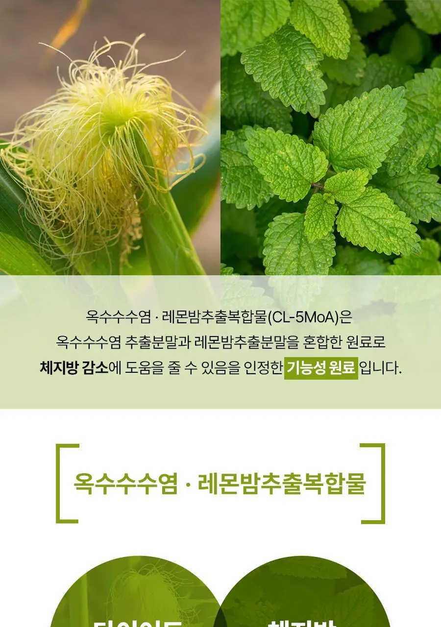 푸드올로지 톡스올로지 클렌즈 비움 PRO 50ml*6병 (6회분) 상세페이지 35