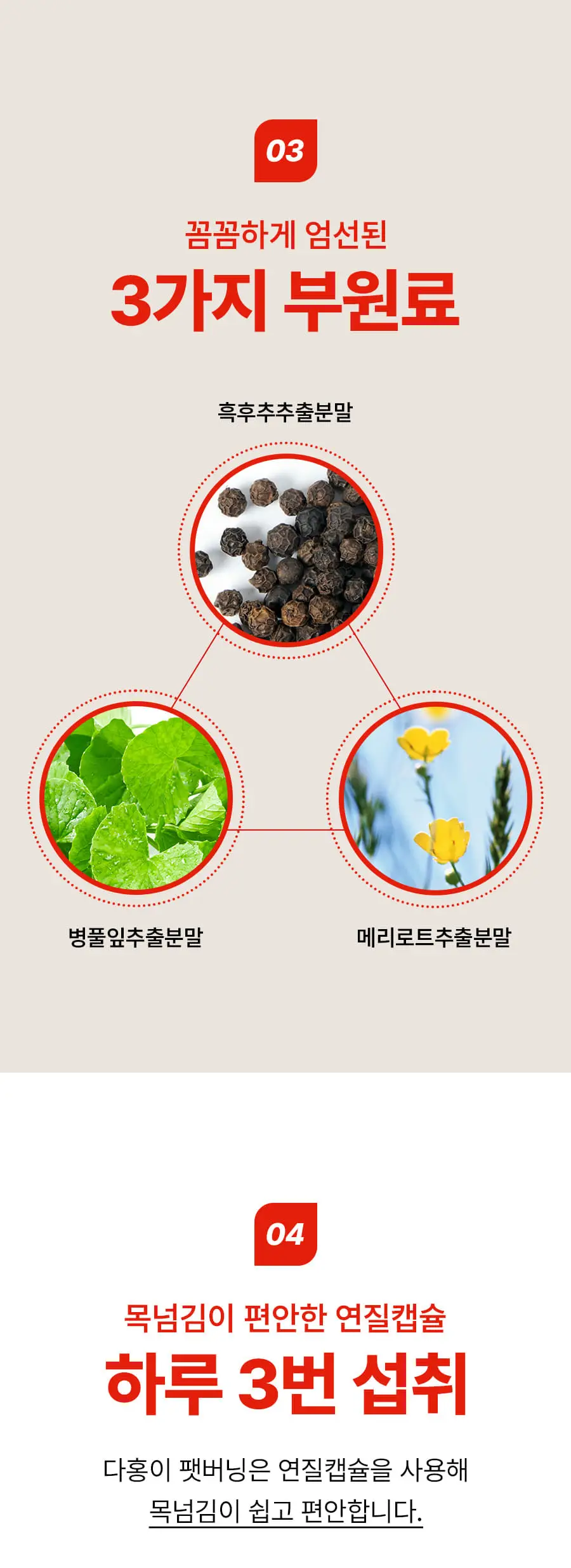 grn+ 다홍이 팻버닝 63캡슐 (21일분) 상세페이지 12
