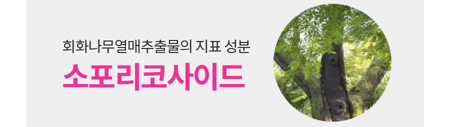grn+ 리얼퀸 60정 (30일분) 상세페이지 9