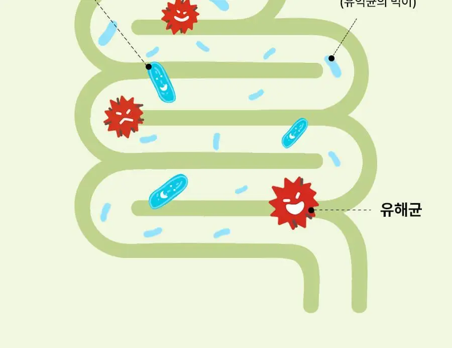 grn+ 분홍이(105정)+초록이(70정) 기획세트 (35일분) 상세페이지 78