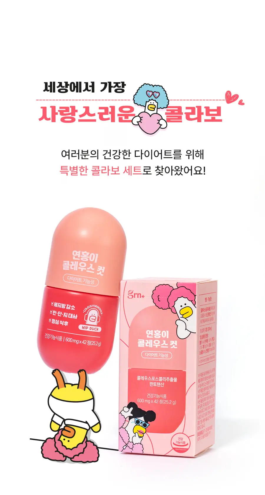 grn+ 연홍이 콜레우스컷 (42정) (21일분) 상세페이지 2
