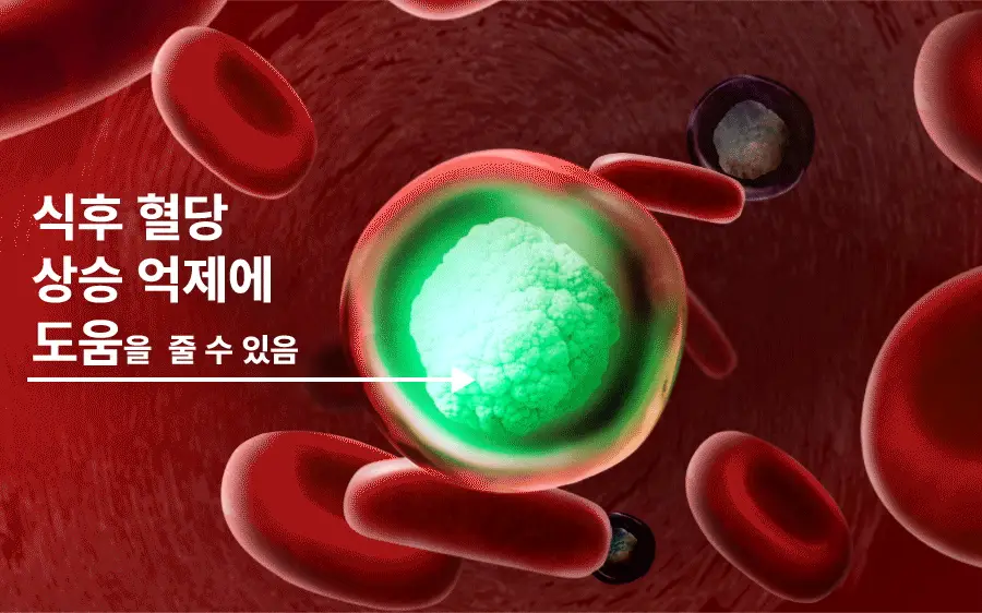 grn+ 초록이/분홍이 쓰리데이즈 시즌2 3개입(3일분) 2종 택 1 상세페이지 41