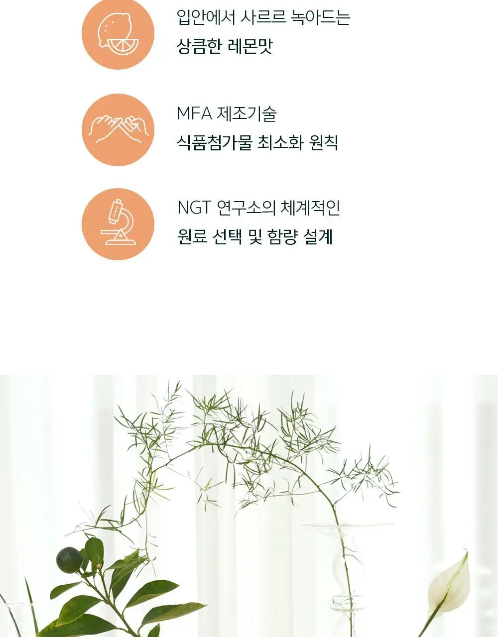 네츄럴굿띵스 잇츠 시톨 30포 (1개월분) 상세페이지 7