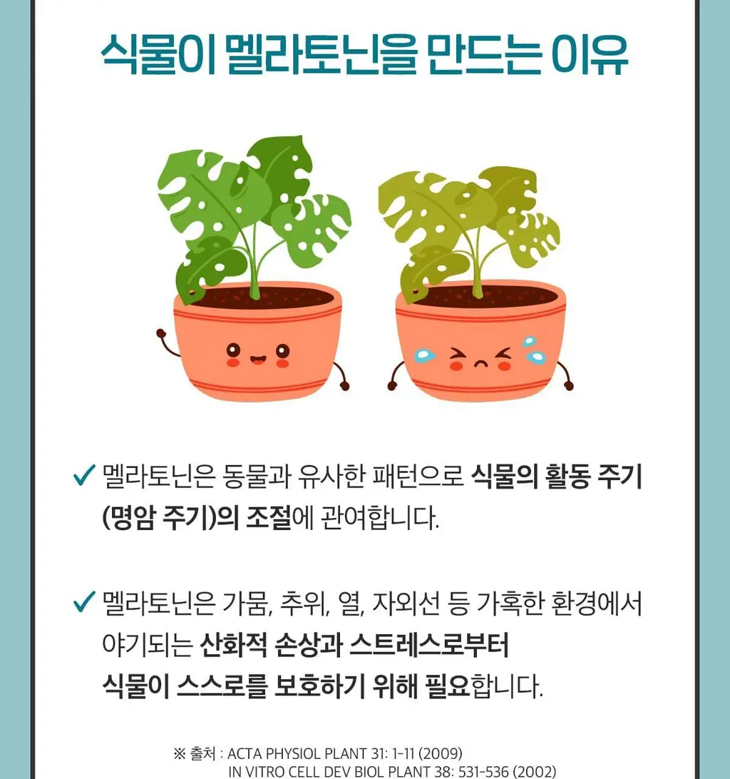 닥터린 식물성 멜라토닌 함유 멜라바인 1mg*30정 상세페이지 15