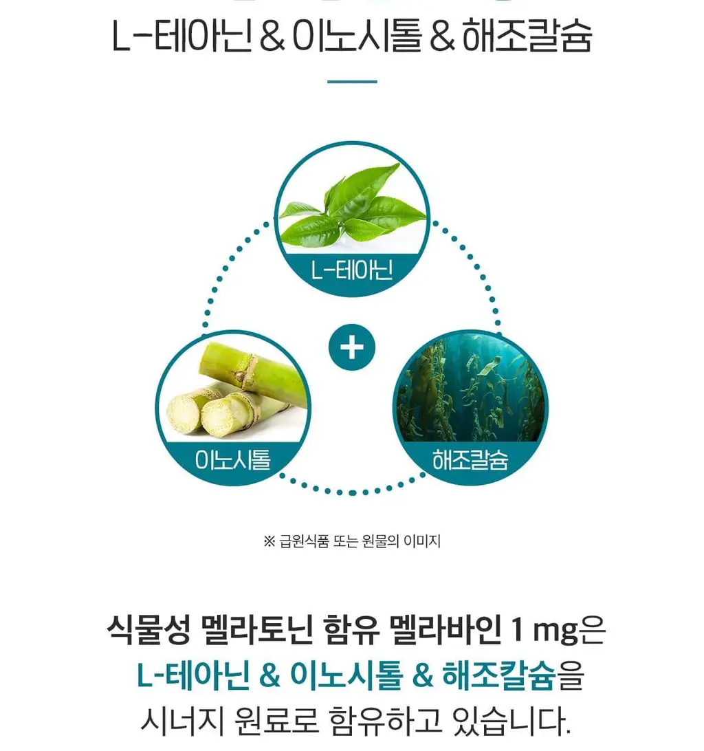 닥터린 식물성 멜라토닌 함유 멜라바인 1mg*30정 상세페이지 26