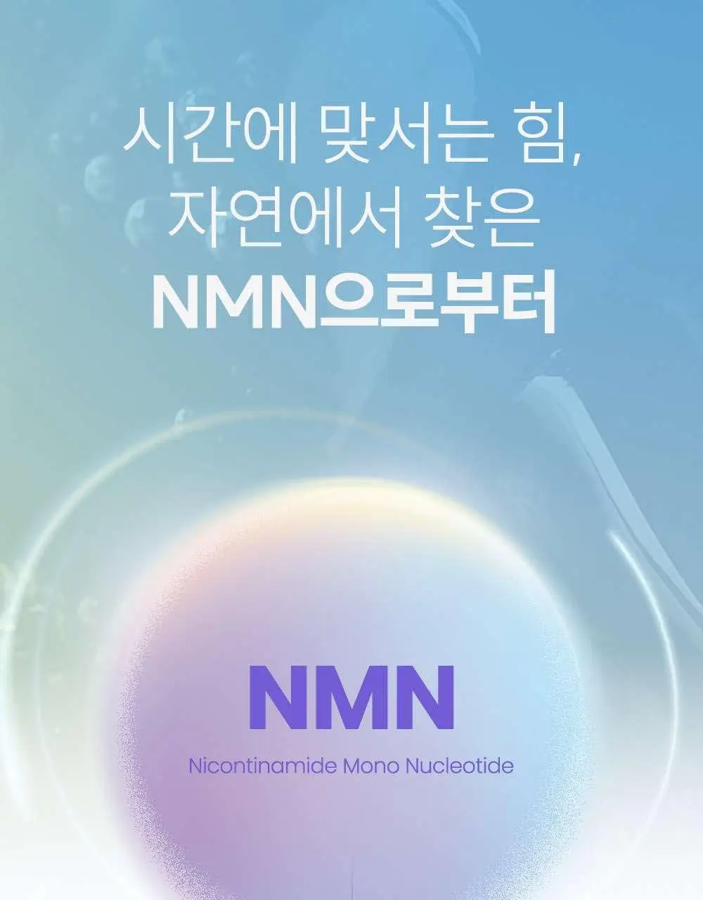 데일리X주토피아 젤리스틱 콜라겐 & NMN 14포 (14일분) 상세페이지 15