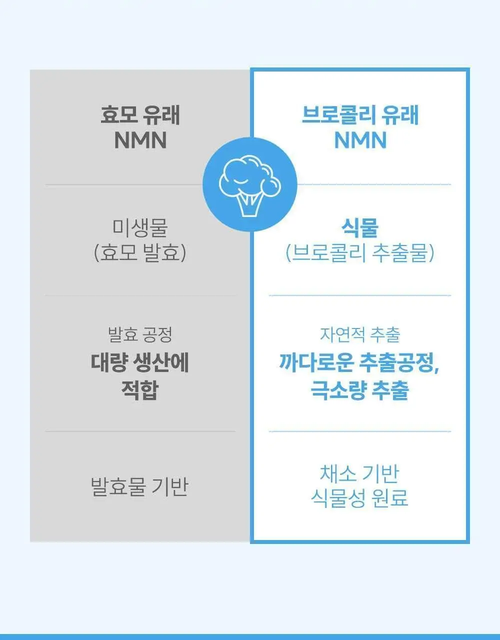 데일리X주토피아 젤리스틱 콜라겐 & NMN 14포 (14일분) 상세페이지 17