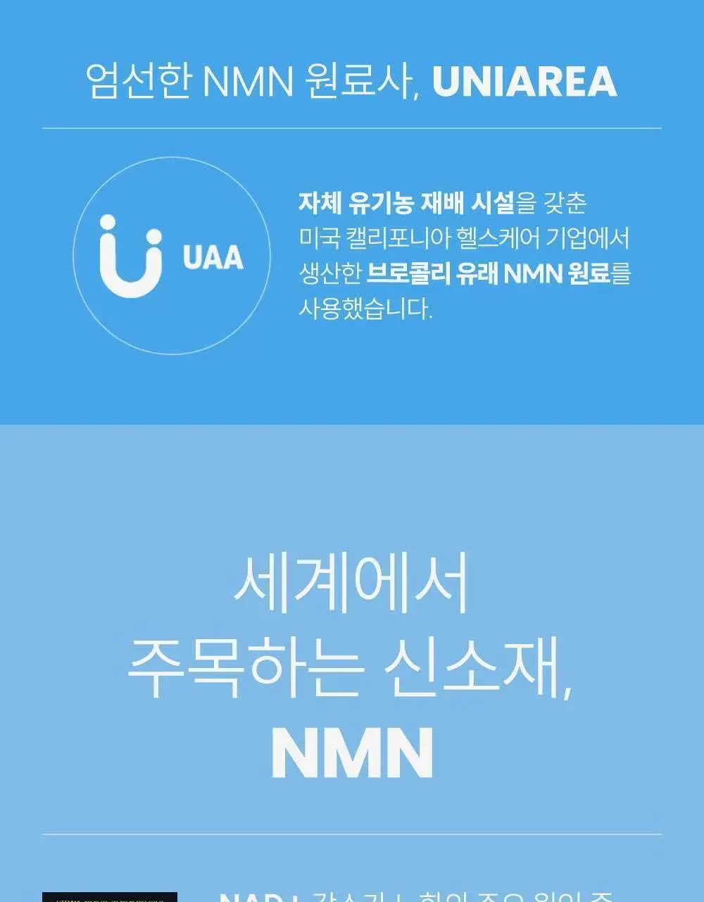 데일리X주토피아 젤리스틱 콜라겐 & NMN 14포 (14일분) 상세페이지 18