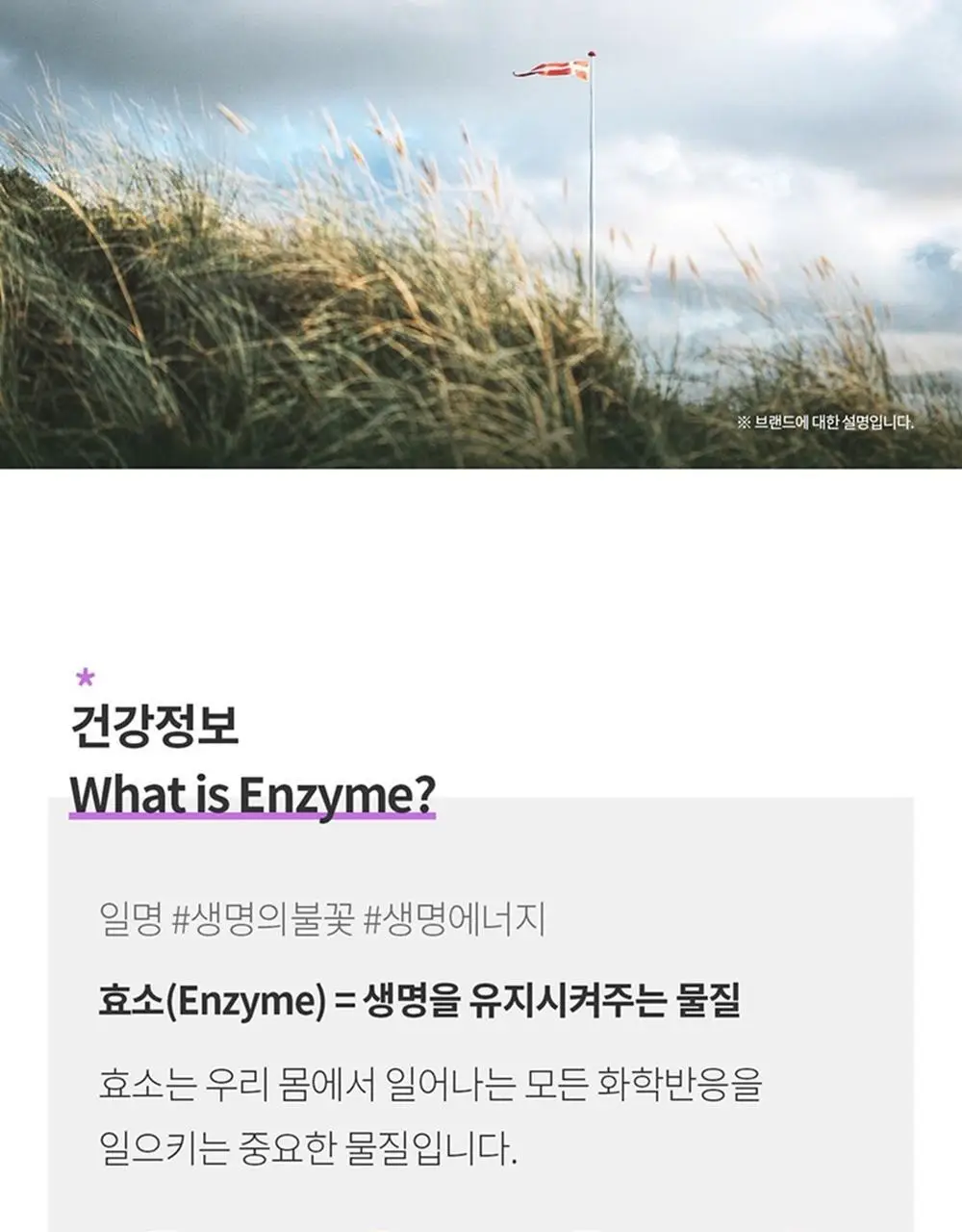 덴프스 휘게엔자임 액티브 Soy 30포(1개월분) 상세페이지 3