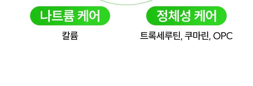 라이킷 파인셔스 브이샷 7포 (7일분) 상세페이지 18