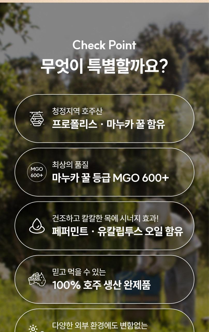 마더네스트 프로폴리스 마누카허니 로젠지스 3종세트 (84일분) 상세페이지 11