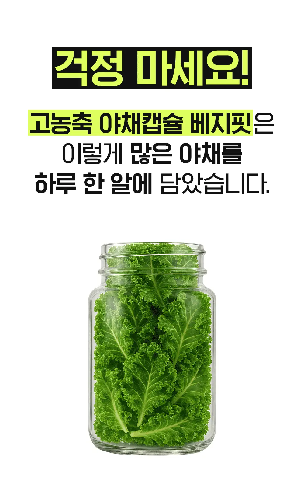 베지핏 케일 36g (60정) (2개월분) 상세페이지 6