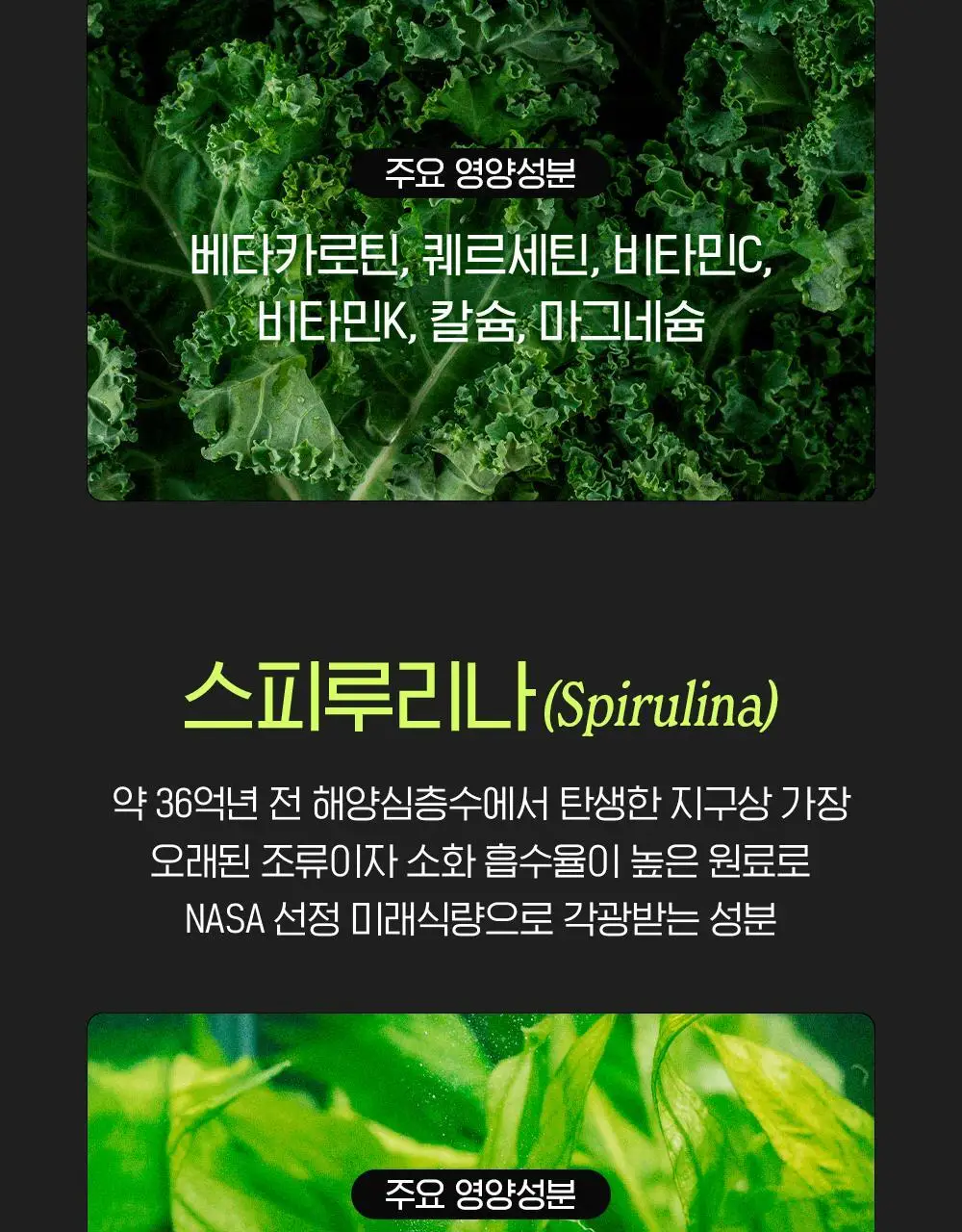 베지핏 케일 36g (60정) (2개월분) 상세페이지 38