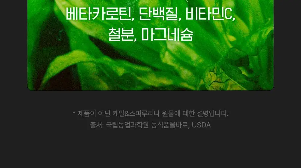 베지핏 케일 36g (60정) (2개월분) 상세페이지 39