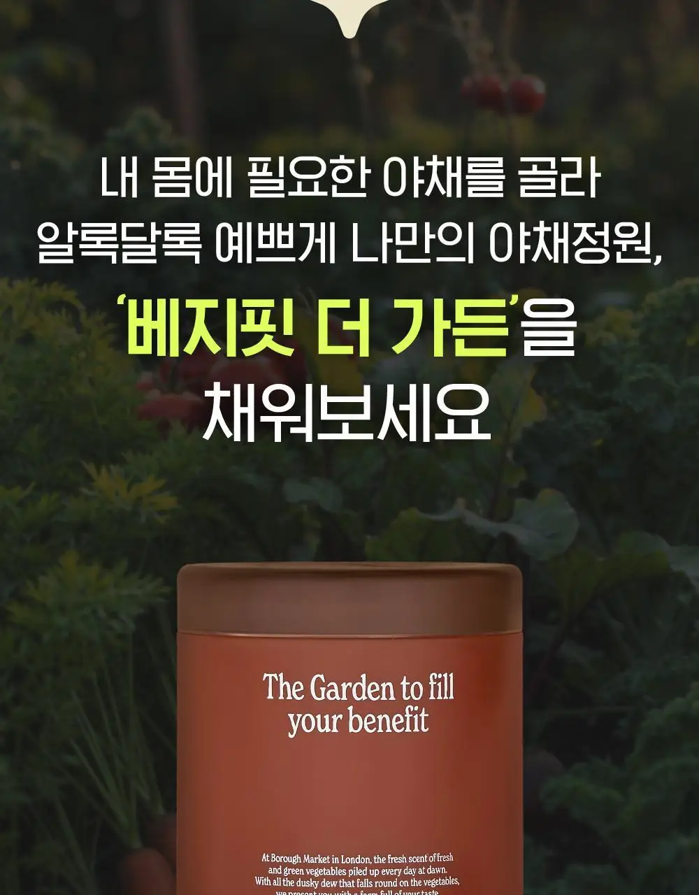 베지핏 튜메릭 강황 36g (60정) (2개월분) 상세페이지 31