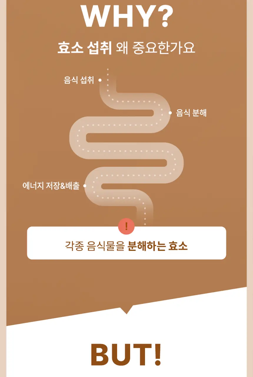빌드 프리미엄 테프 발효 효소 / 효소 유산균 30포 (1개월분) 상세페이지 33