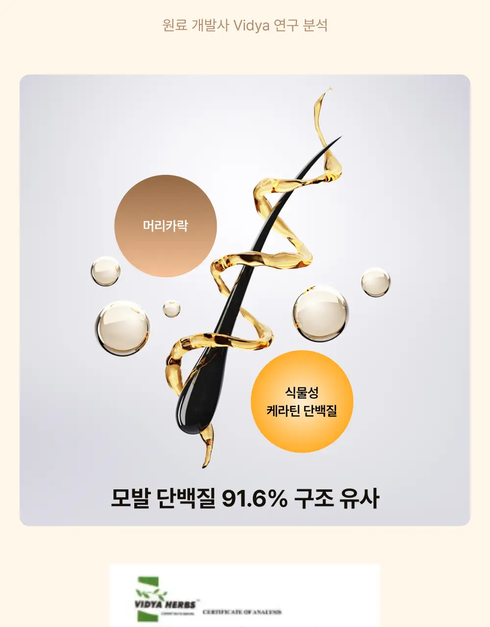 오니스트 케라그로우 망고 14일 루틴 단품/기획(+2포) 상세페이지 12