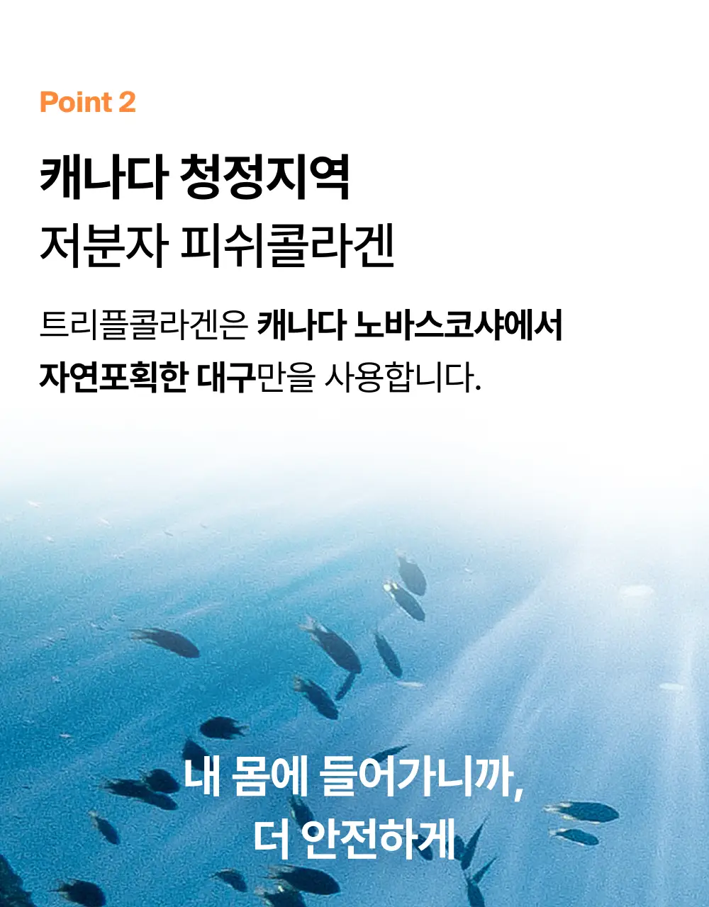 오니스트 트리플콜라겐 오렌지 14개입*2박스 (28일분) 상세페이지 32
