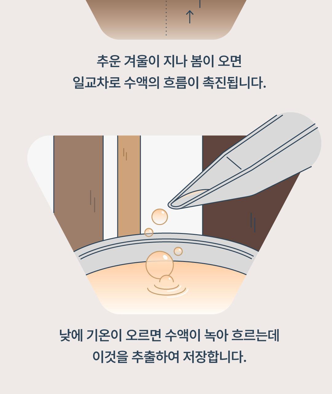 요헤미티 에너지 젤 1포 상세페이지 73