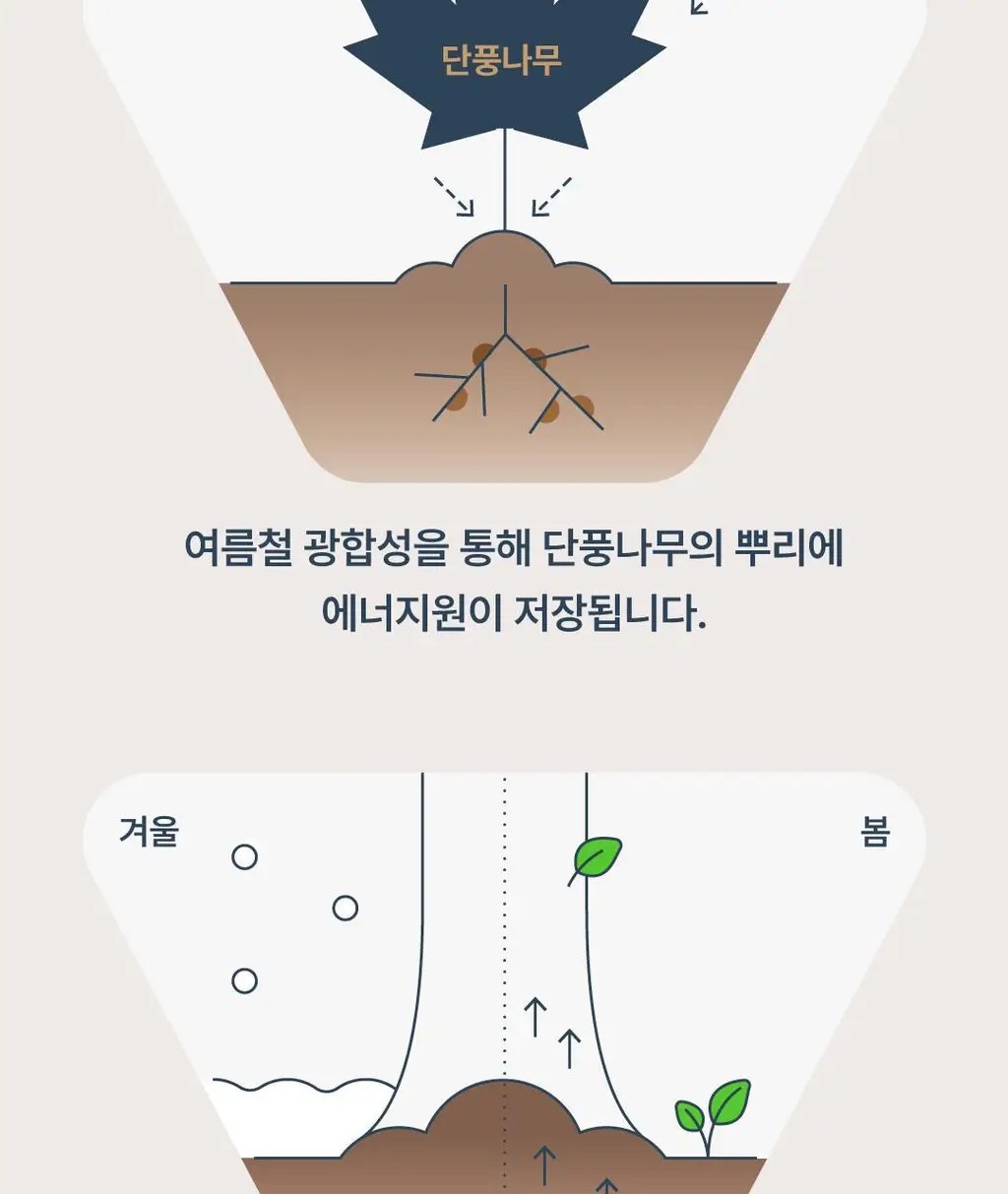 요헤미티 에너지 젤 10포 상세페이지 36