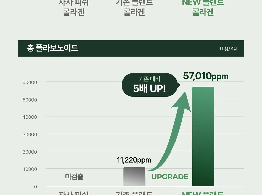 플랜트 식물성 비건 콜라겐 비오틴(액상형) 15포 (15일분) 상세페이지 60