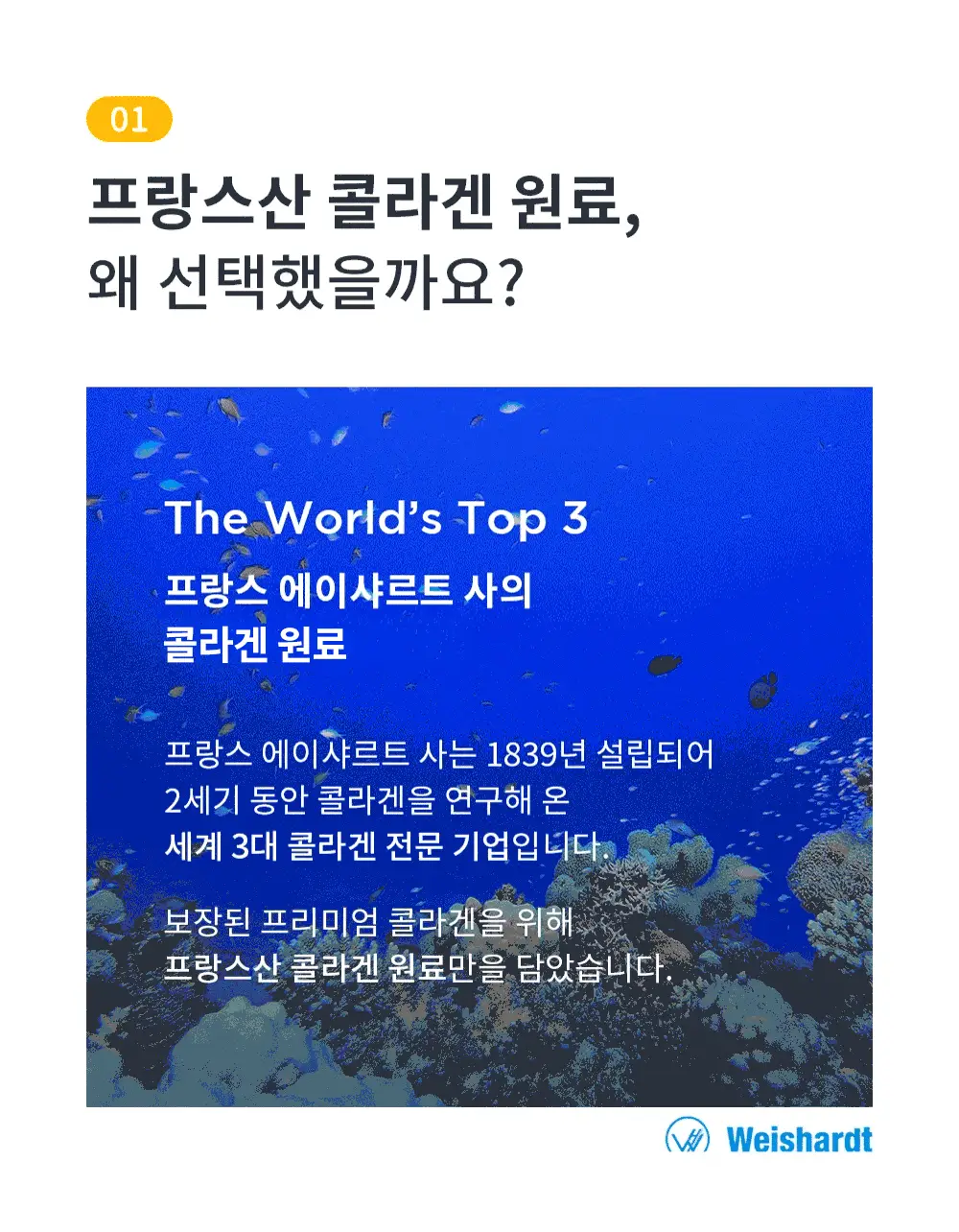 레놉티 시너업 콜라겐 14포 (14일분) 상세페이지 11