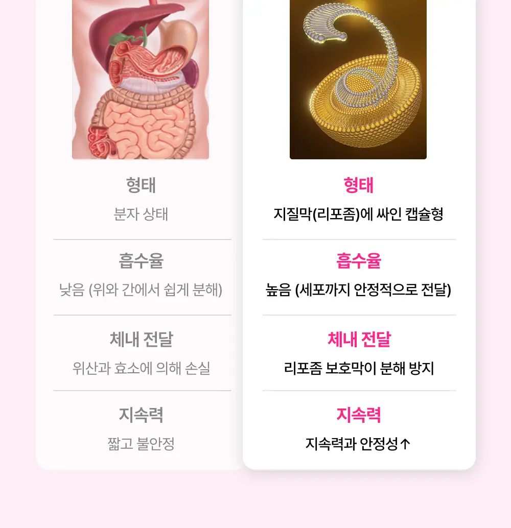 레놉티 시너업글로우 (7포) (7일분) 상세페이지 25