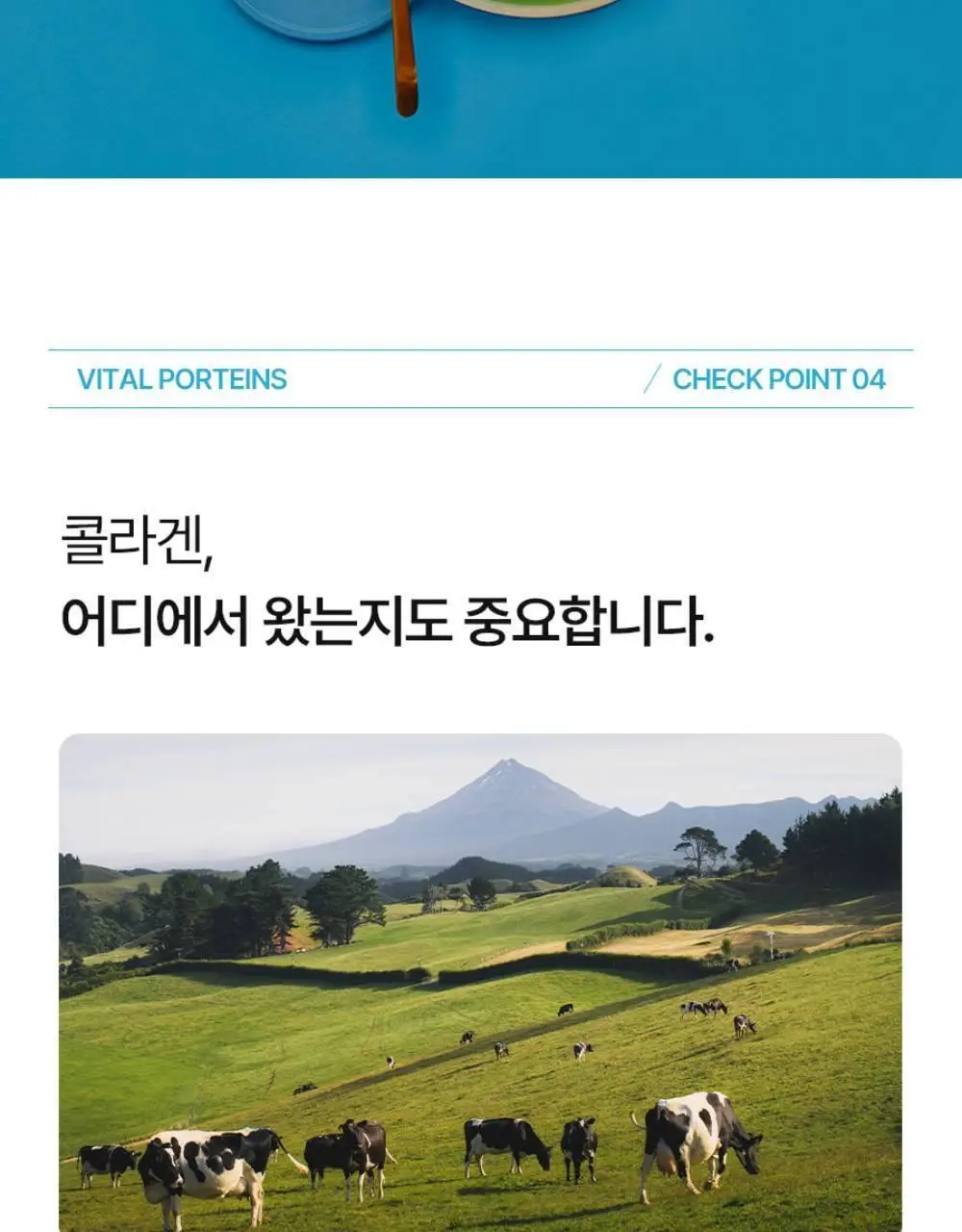 바이탈프로틴 콜라겐 펩타이드 300g 상세페이지 12