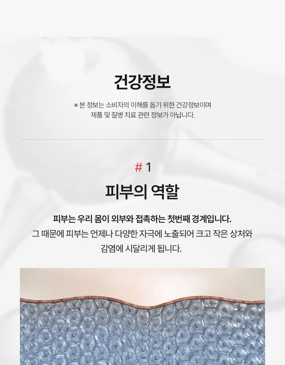 바이탈프로틴 히알루론산 비오틴 플러스 271g 상세페이지 21
