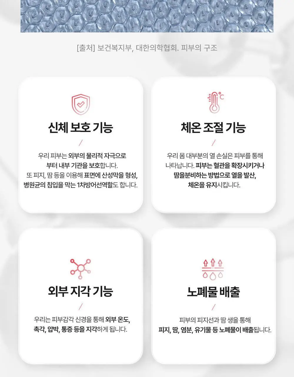 바이탈프로틴 히알루론산 비오틴 플러스 271g 상세페이지 22