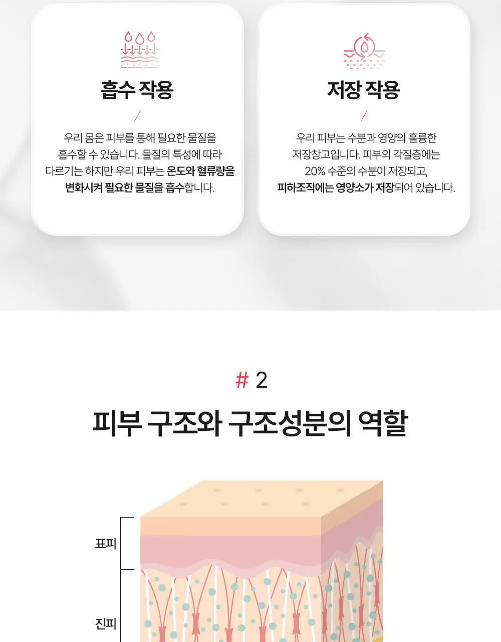 바이탈프로틴 히알루론산 비오틴 플러스 271g 상세페이지 23