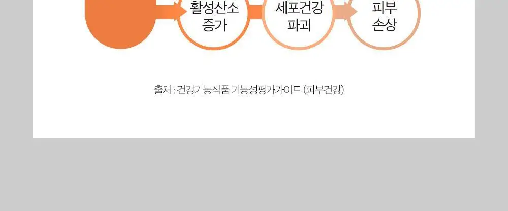에버콜라겐 바이탈 30포 (1개월분) 상세페이지 25