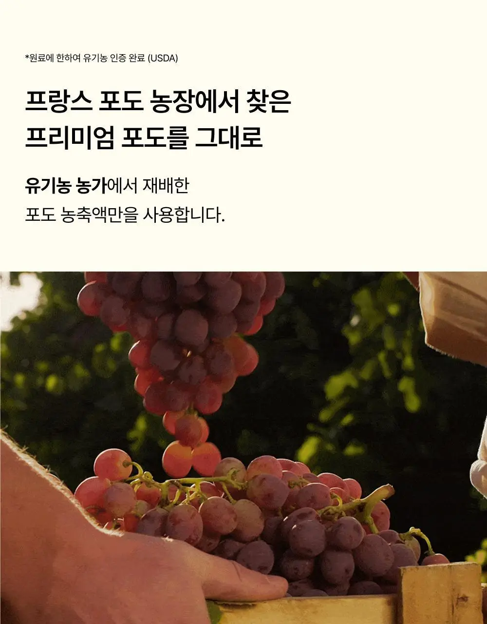 오니스트 트리플샤인 포도 14일+2일 루틴 단품/기획 상세페이지 27