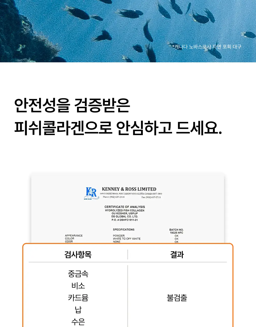 오니스트 트리플콜라겐 오렌지 14일 루틴 단품/기획(+2포) 상세페이지 17