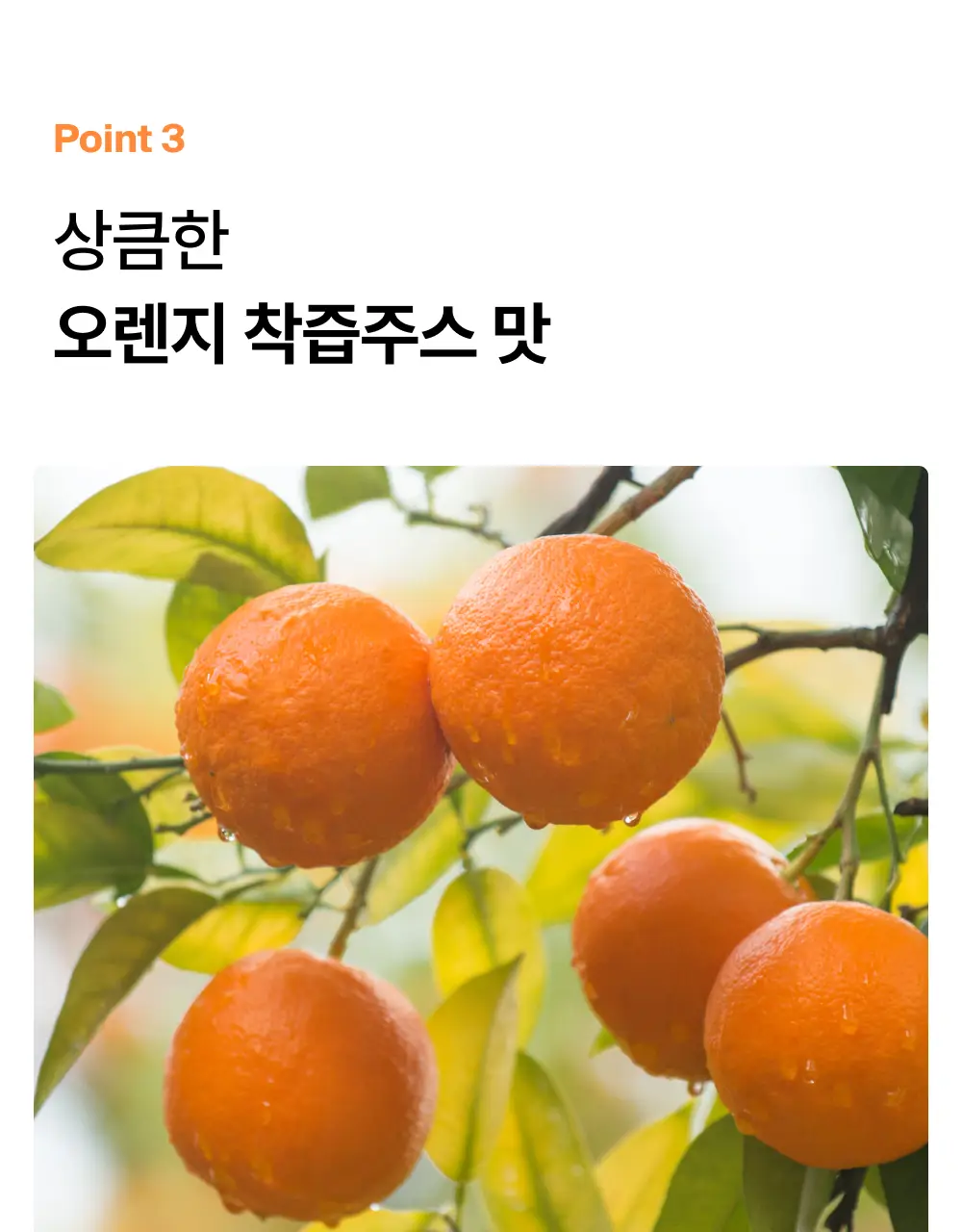 오니스트 트리플콜라겐 오렌지 14일 루틴 단품/기획(+2포) 상세페이지 25