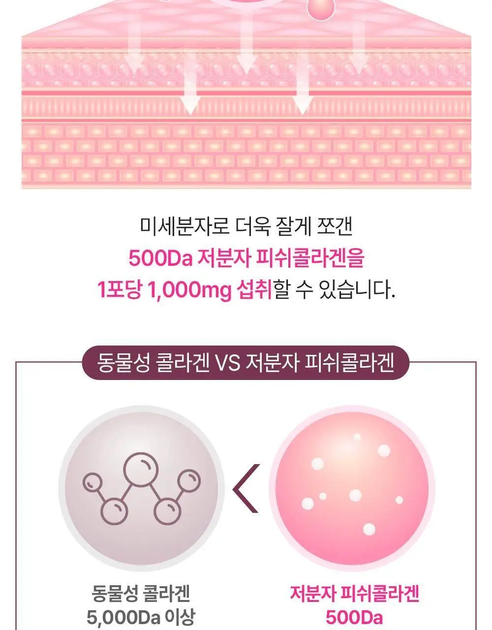티젠 콤부차 콜라겐 젤리 피치 14포 (14일분) 상세페이지 22