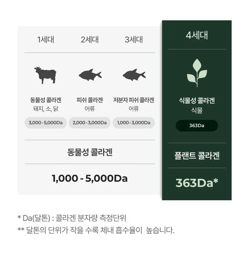 플랜트 식물성 비건 콜라겐 유산균(젤리형) 15포 (15일분) 상세페이지 27