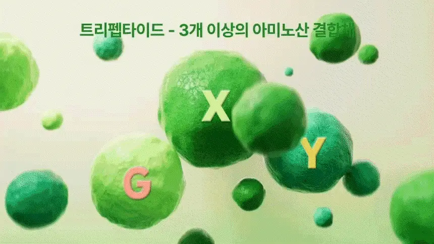 플랜트 식물성 비건 콜라겐 7포 (+1포) (8일분) 상세페이지 8