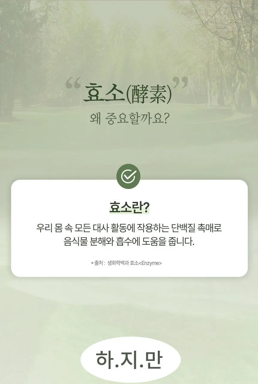 건강한약속 바른효소 5종 택1 (곡물/파인/인절미/매실/유산균) (1개월분) 상세페이지 7