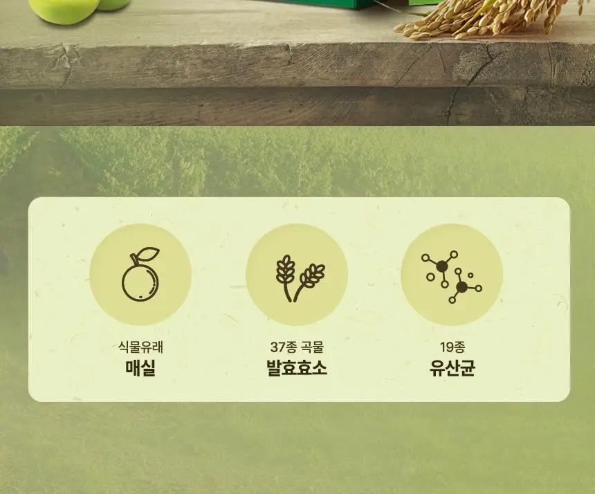 건강한약속 바른효소 5종 택1 (곡물/파인/인절미/매실/유산균) (1개월분) 상세페이지 71