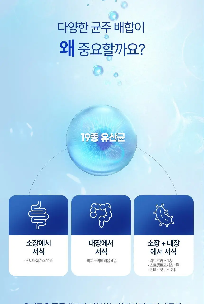 건강한약속 바른효소 5종 택1 (곡물/파인/인절미/매실/유산균) (1개월분) 상세페이지 107