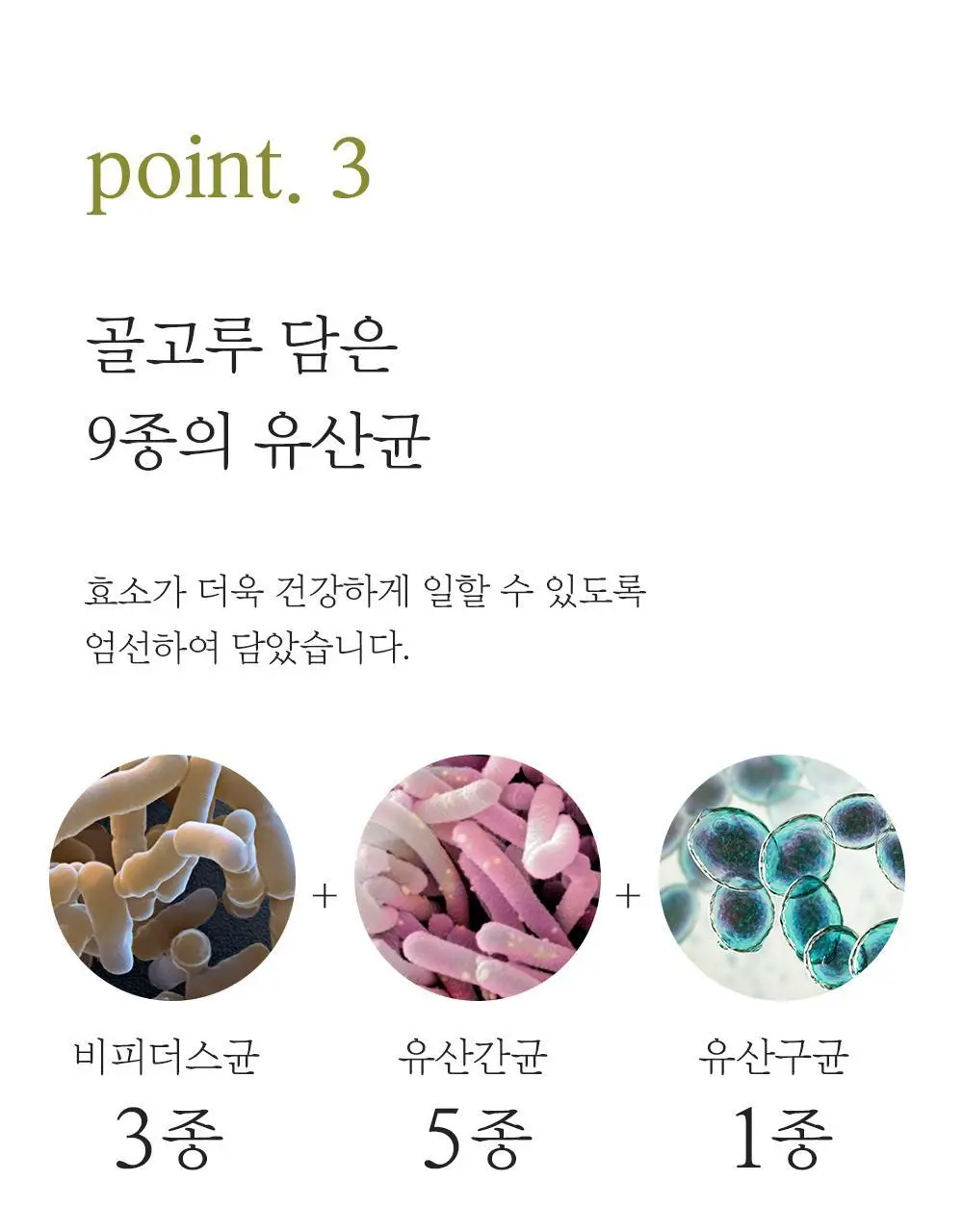 네츄럴굿띵스 속편한 생생효소 7포 (7일분) 상세페이지 16