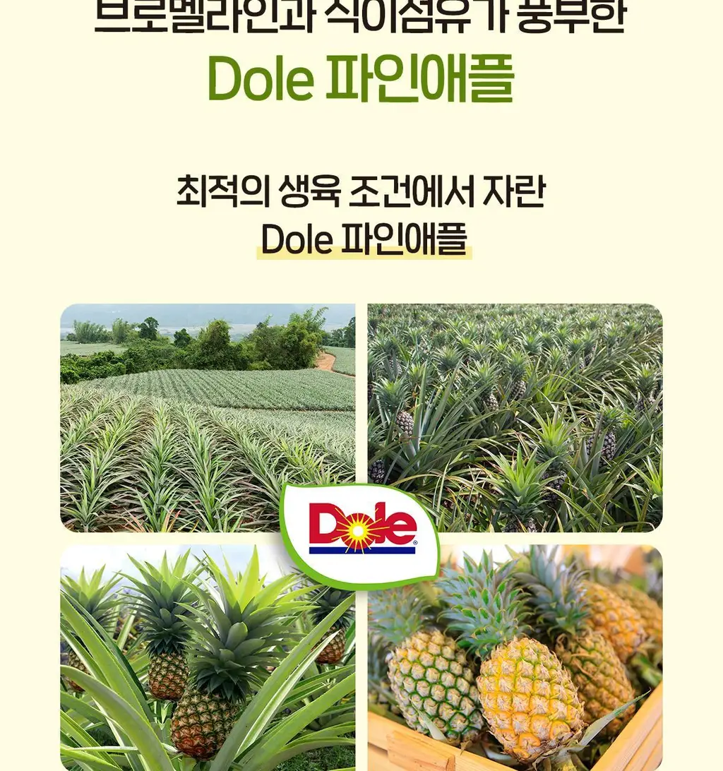 닥터린 리얼 브로멜라인 파인애플 효소 30포 (1개월분) 상세페이지 14