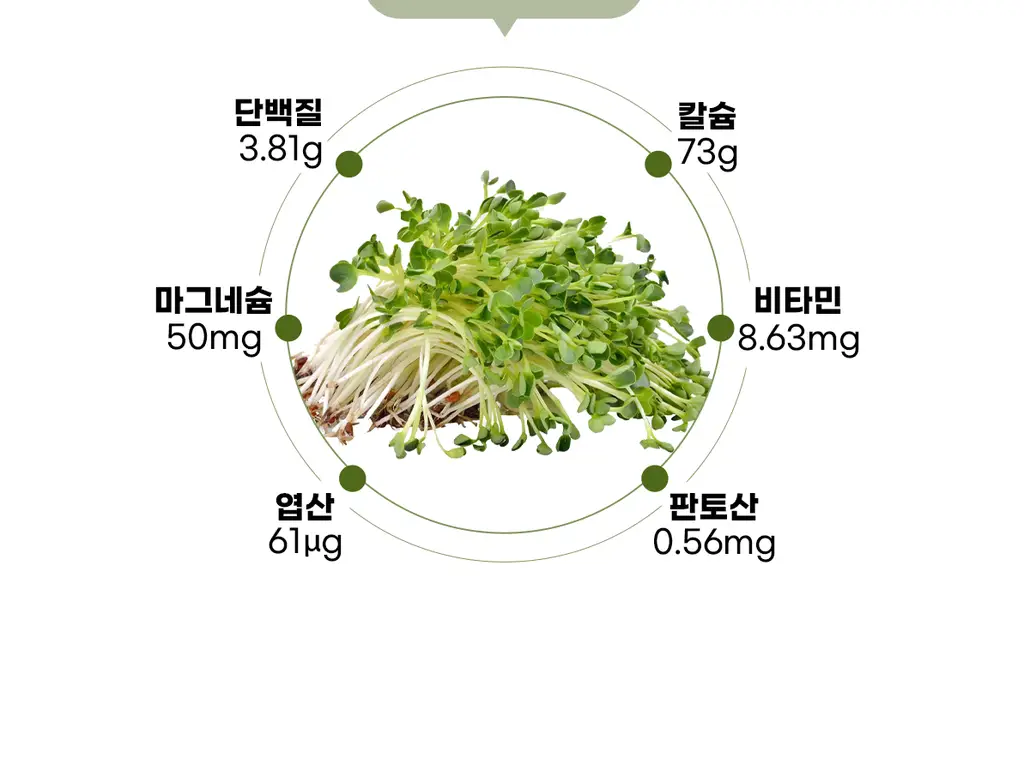 이영애의 건강미식 새싹효소 플러스 (30포) 상세페이지 40