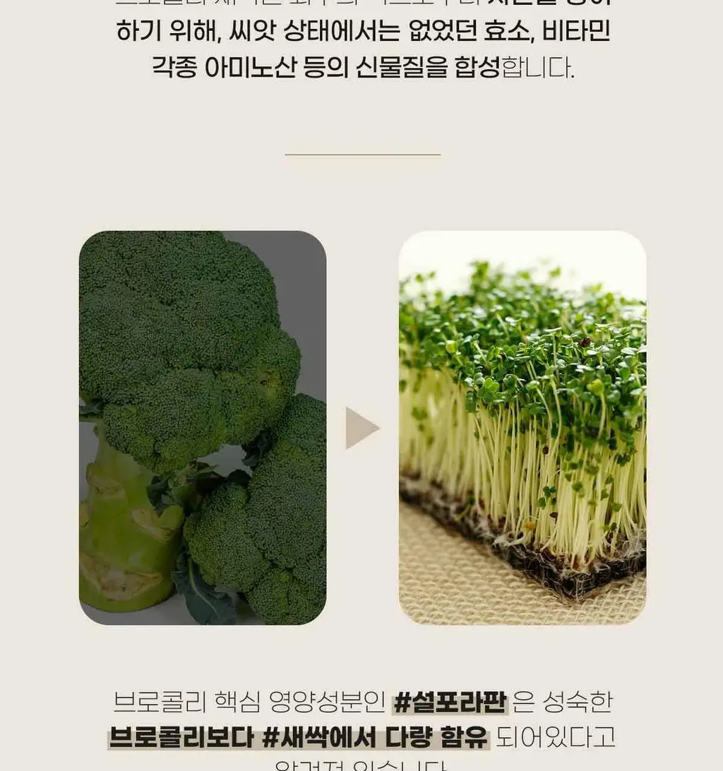 이영애의 건강미식 효소 플러스 30포 3종 중 택1 (생생/새싹/초코) 상세페이지 41