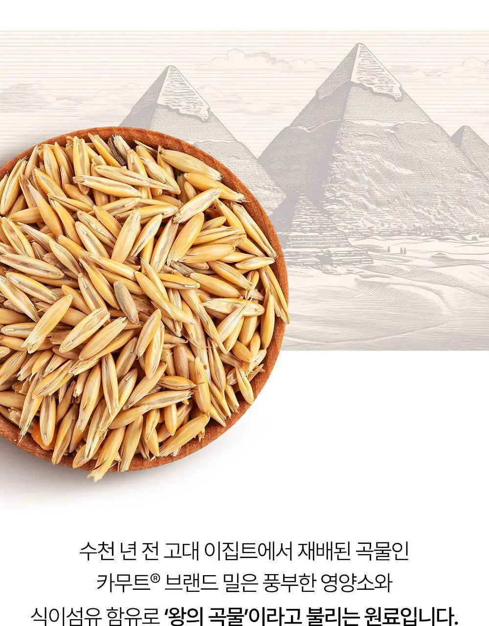 익스트림 골드 카무트 브랜드 밀 효소 15포 (유통기한 : 2026년 8월 18일) 상세페이지 12