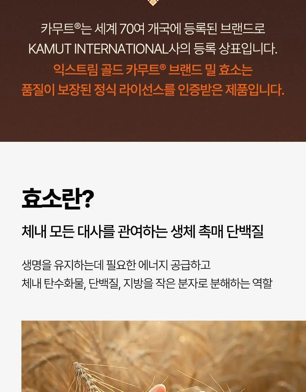 익스트림 골드 카무트 브랜드 밀 효소 15포 (유통기한 : 2026년 8월 18일) 상세페이지 16