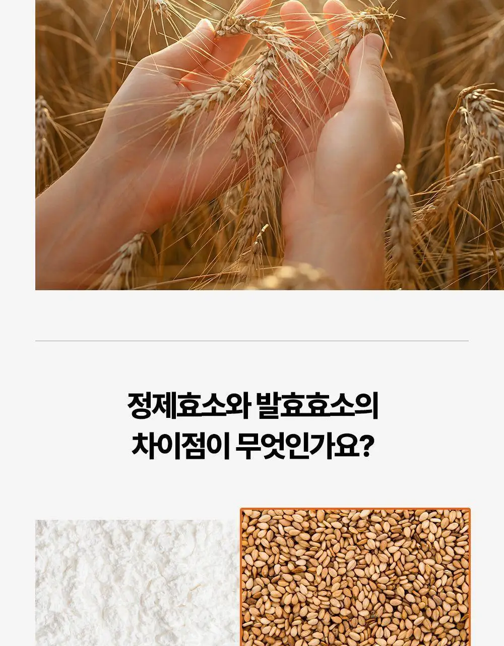익스트림 골드 카무트 브랜드 밀 효소 15포 (유통기한 : 2026년 8월 18일) 상세페이지 17