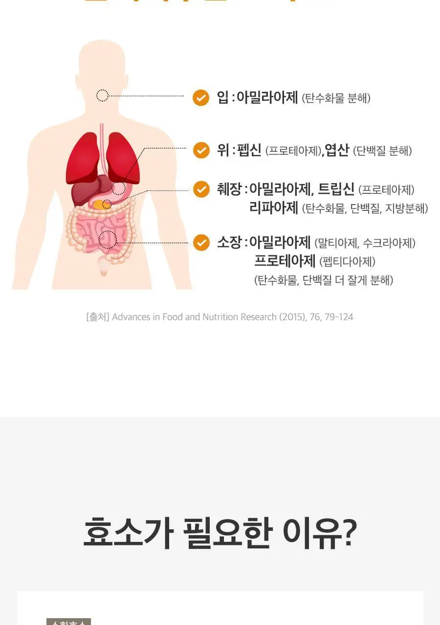 grn+ 갈색이 효소 14포 (14일분) 상세페이지 41