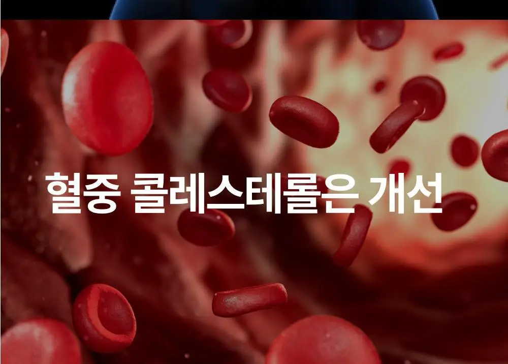 대웅제약 에너씨슬 콜레다운 30캡슐 (1개월분) 상세페이지 4